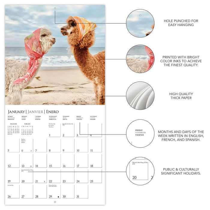 2025 Little Alpaca on the Prairie Wall Calendar