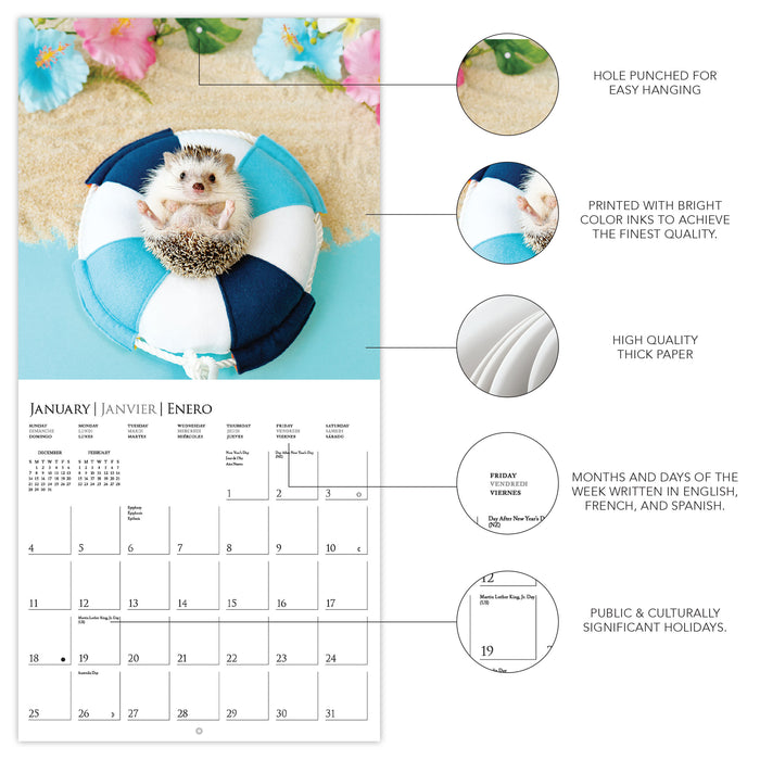 Happiest Hedgehogs 2026 Mini Wall Calendar