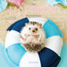 Happiest Hedgehogs 2026 Mini Wall Calendar