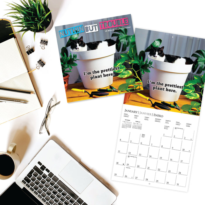 Nuthin' But Trouble 2026 Square Wall Calendar