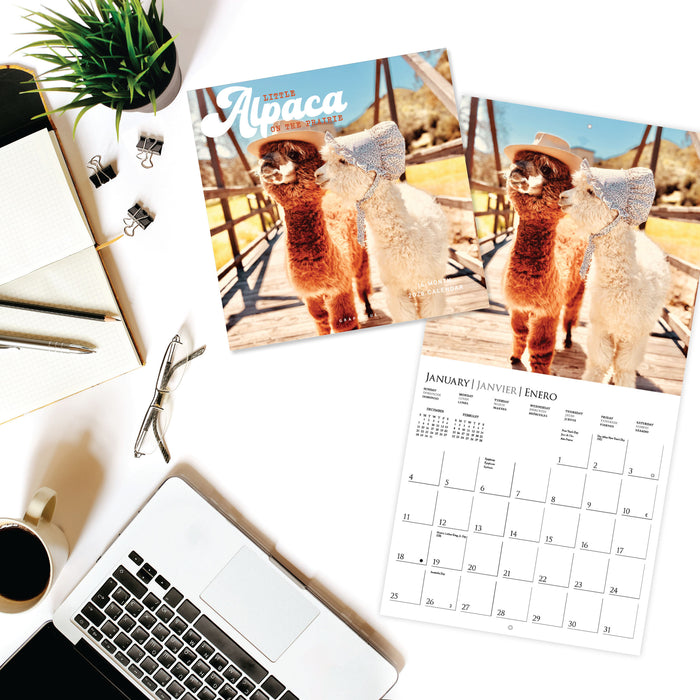 Litte Alpaca on the Prairie 2026 Square Wall Calendar
