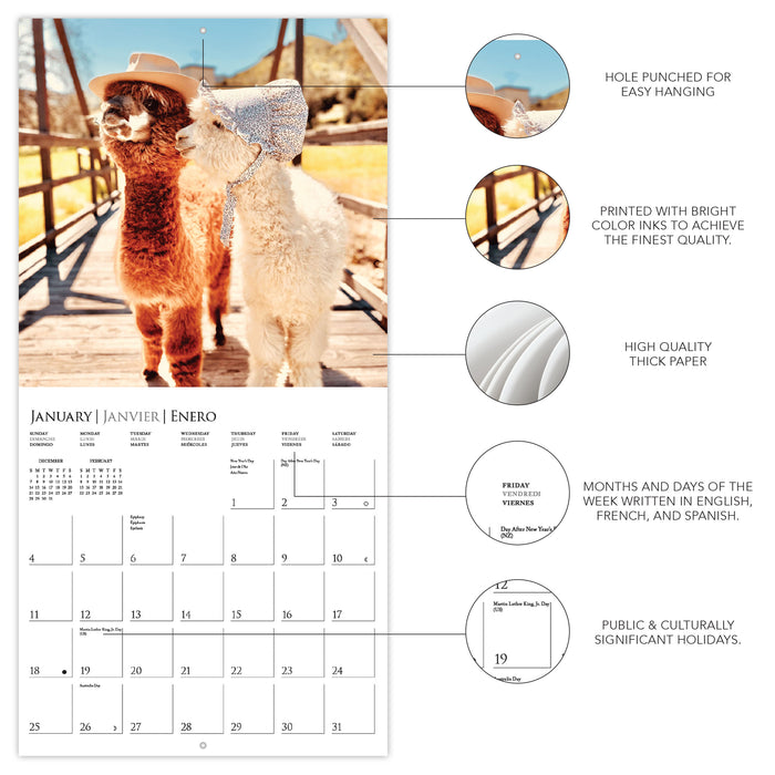 Litte Alpaca on the Prairie 2026 Square Wall Calendar