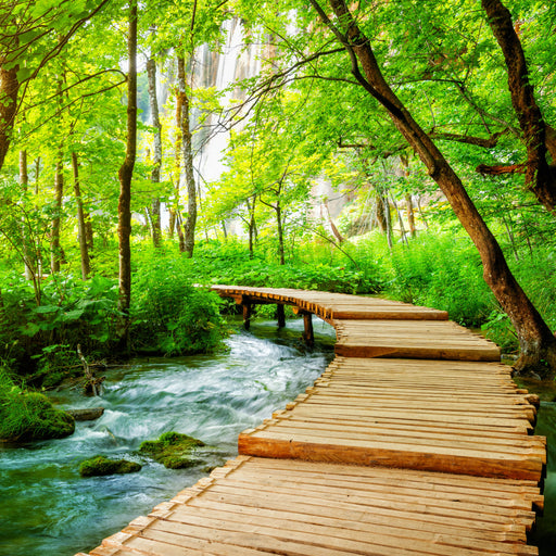 Pathways of the World 2026 Square Wall Calendar