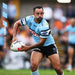 NRL Cronulla Sharks 2026 Square Wall Calendar
