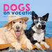 Dogs on Vacation 2027 Square Wall Calendar