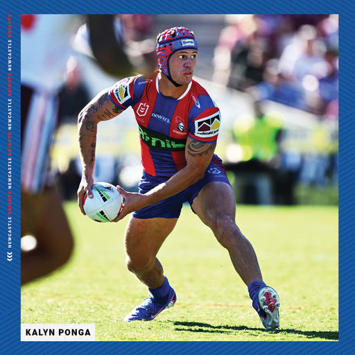 NRL Newcastle Knights 2027 Square Wall Calendar