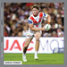 NRL St George Illawarra Dragon 2027 Square Wall Calendar