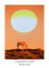 Wild Horses 2027 Weekly Diary