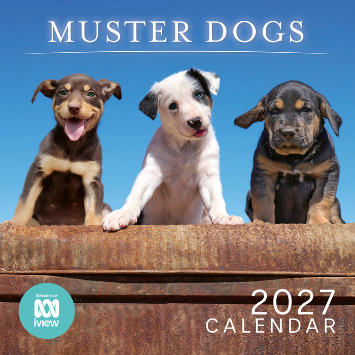 Muster Dogs 2027 Square Wall Calendar