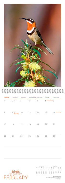 Birds of Australia 2026 Large Wall Calendar