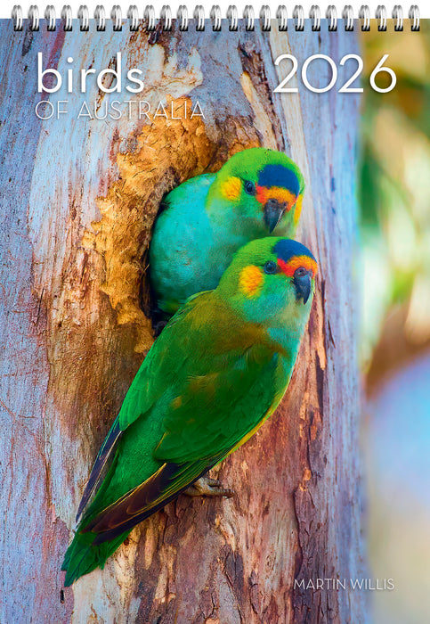 Birds of Australia 2026 Large Wall Calendar