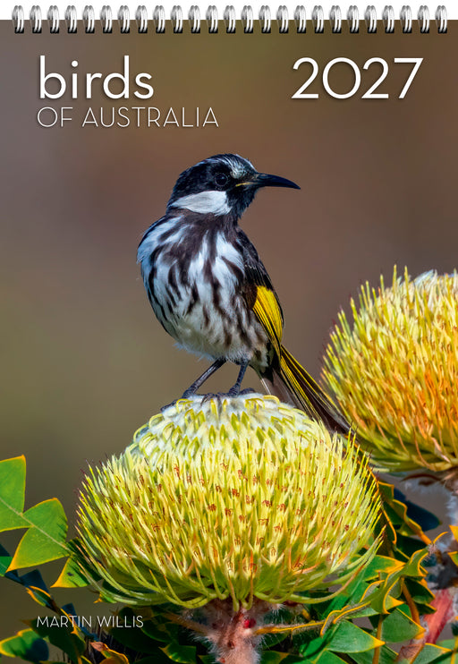 Birds of Australia 2027 Large Wall Calendar