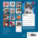 2025 Grumpy Cat Wall Calendar by  Chronicle Books from Calendar Club