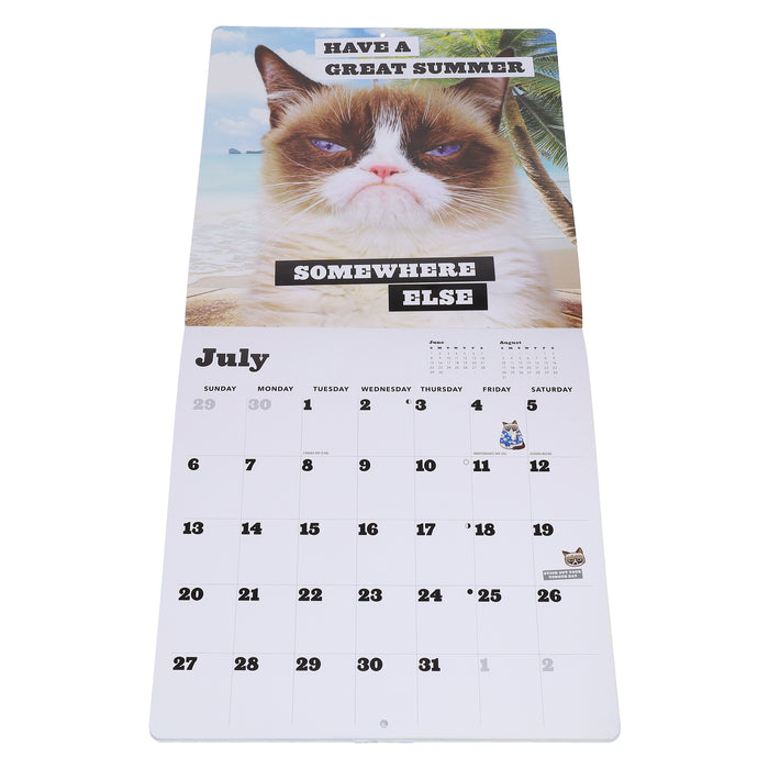 2025 Grumpy Cat Wall Calendar by  Chronicle Books from Calendar Club