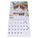 2025 Grumpy Cat Wall Calendar by  Chronicle Books from Calendar Club