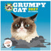 Grumpy Cat 2027 Square Wall Calendar