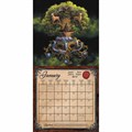 2025 Anne Stokes Wall Calendar