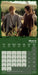 Lord Of The Rings 2026 Square Wall Calendar
