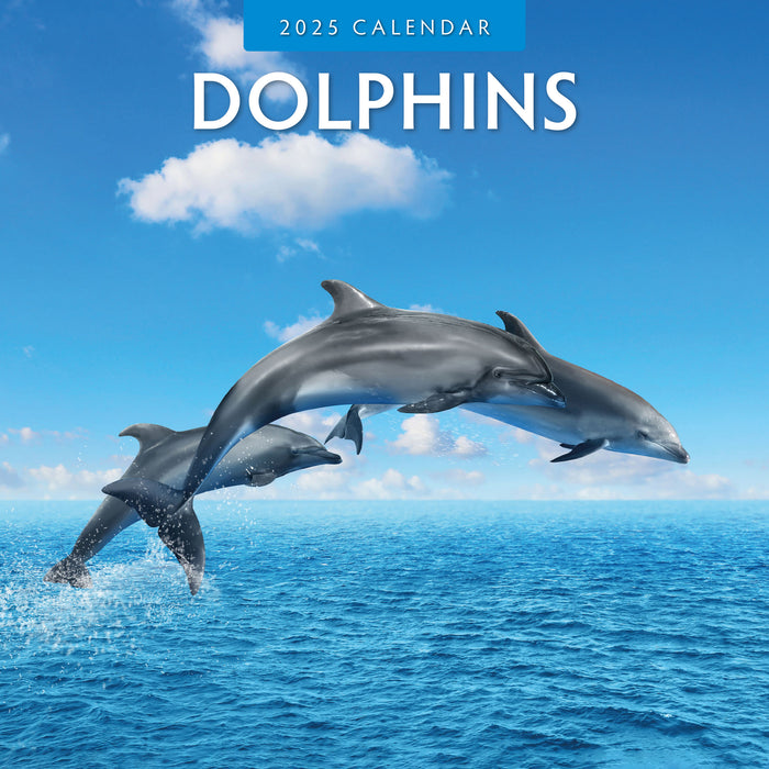 2025 Dolphins Wall Calendar