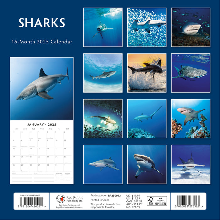 2025 Sharks Wall Calendar