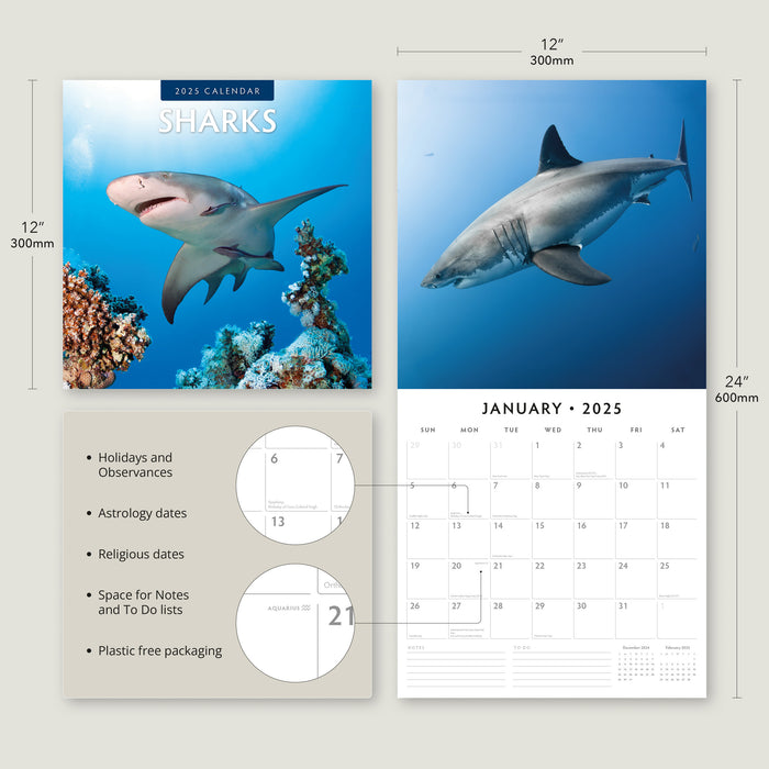 2025 Sharks Wall Calendar