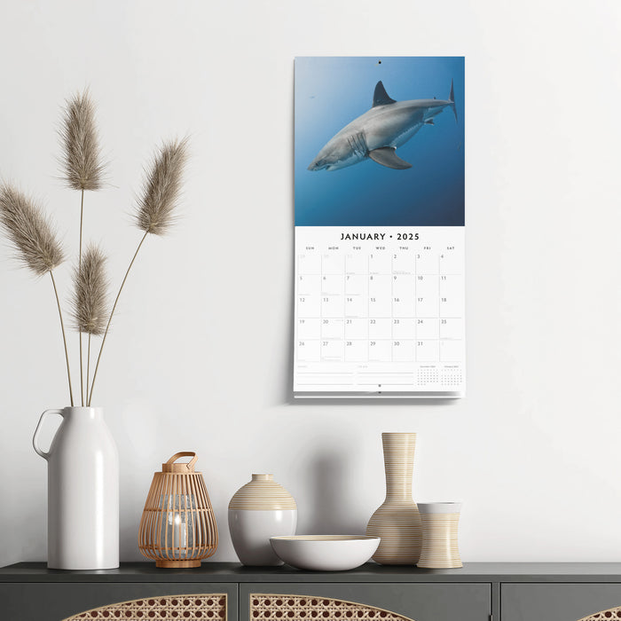 2025 Sharks Wall Calendar