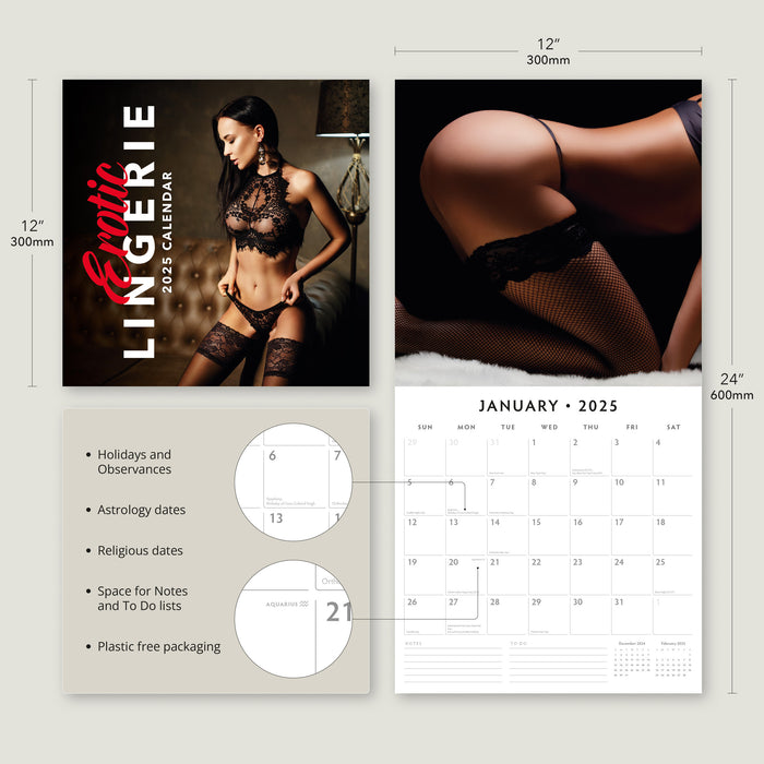 2025 Erotic Lingerie Wall Calendar