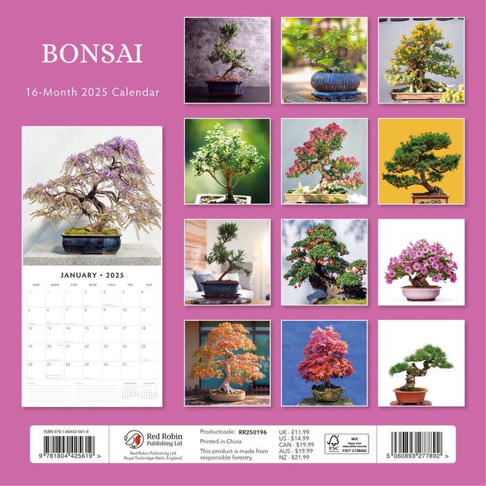 2025 Bonsai Wall Calendar (Online Exclusive)