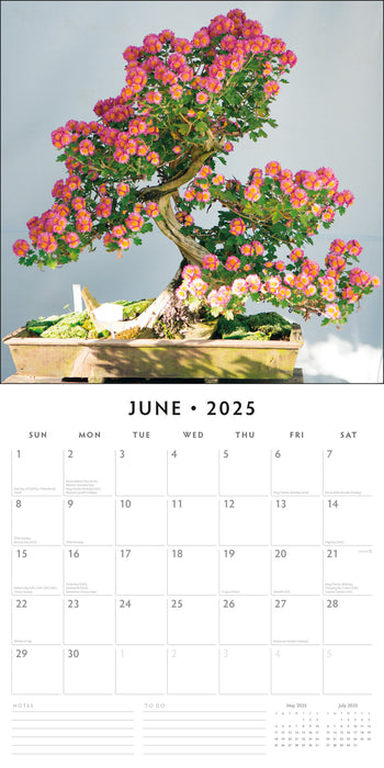 2025 Bonsai Wall Calendar (Online Exclusive)