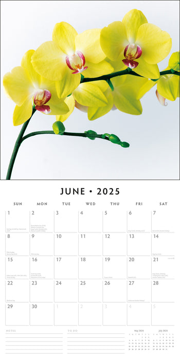 2025 Orchids Wall Calendar