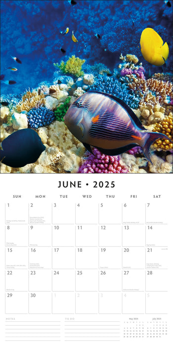 2025 Ocean Life Wall Calendar