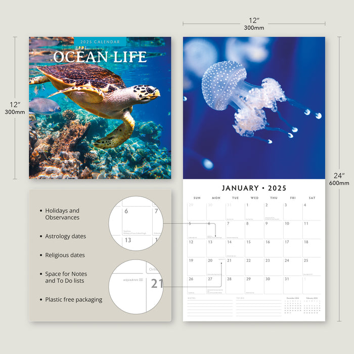 2025 Ocean Life Wall Calendar