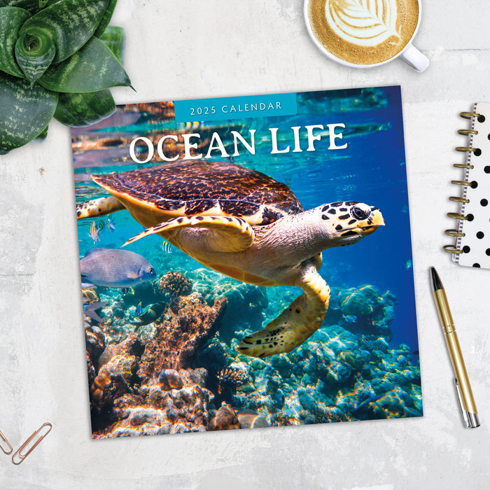 2025 Ocean Life Wall Calendar