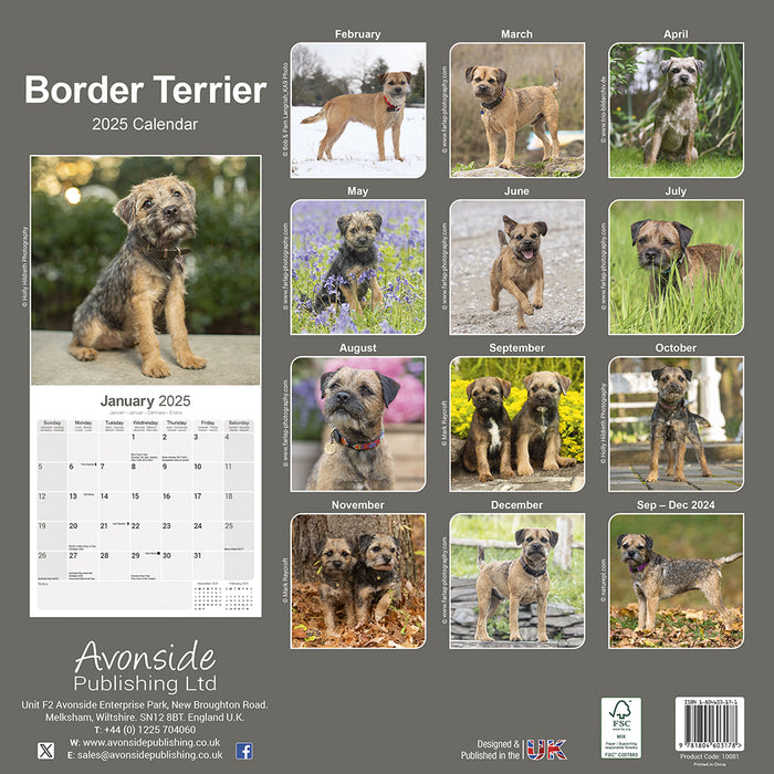 2025 Border Terrier Wall Calendar (Online Exclusive)