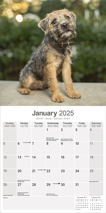 2025 Border Terrier Wall Calendar (Online Exclusive)