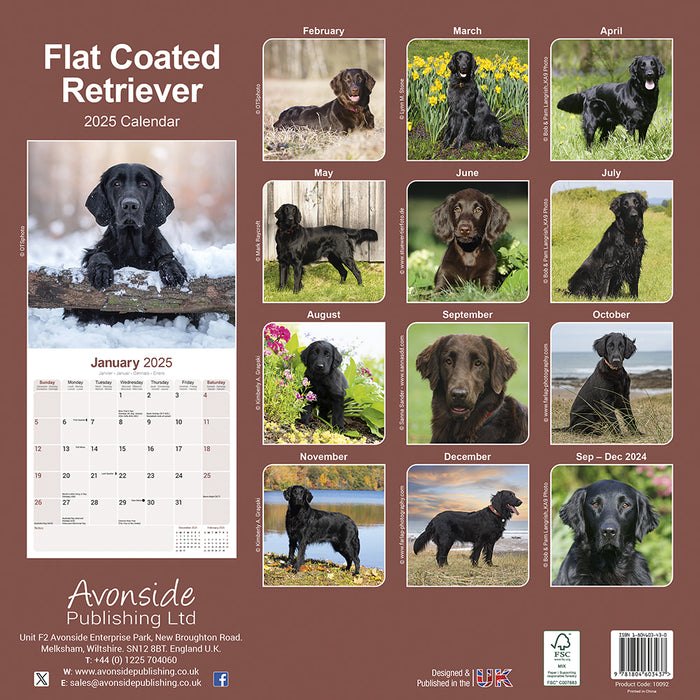 2025 Flatcoated Retriever Wall Calendar (Online Exclusive)