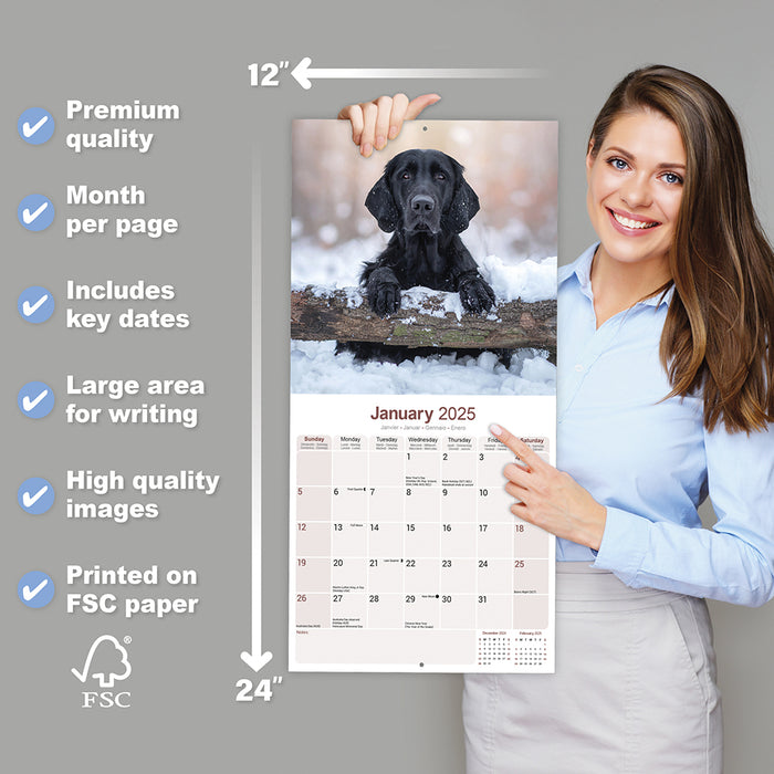 2025 Flatcoated Retriever Wall Calendar (Online Exclusive)