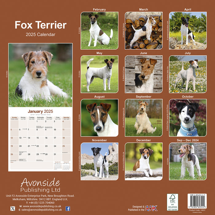 2025 Fox Terrier Wall Calendar (Online Exclusive)