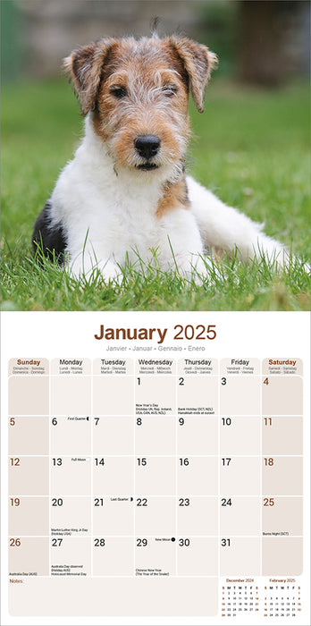 2025 Fox Terrier Wall Calendar (Online Exclusive)