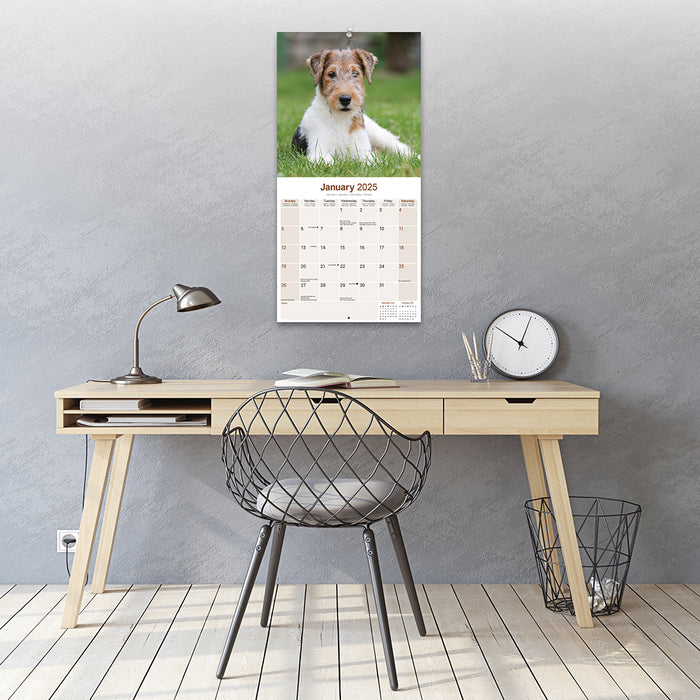 2025 Fox Terrier Wall Calendar (Online Exclusive)