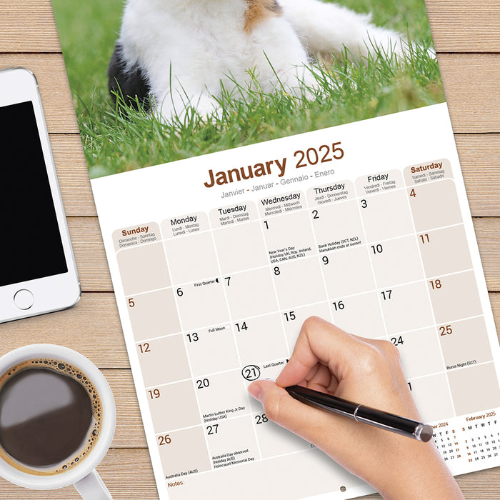 2025 Fox Terrier Wall Calendar (Online Exclusive)