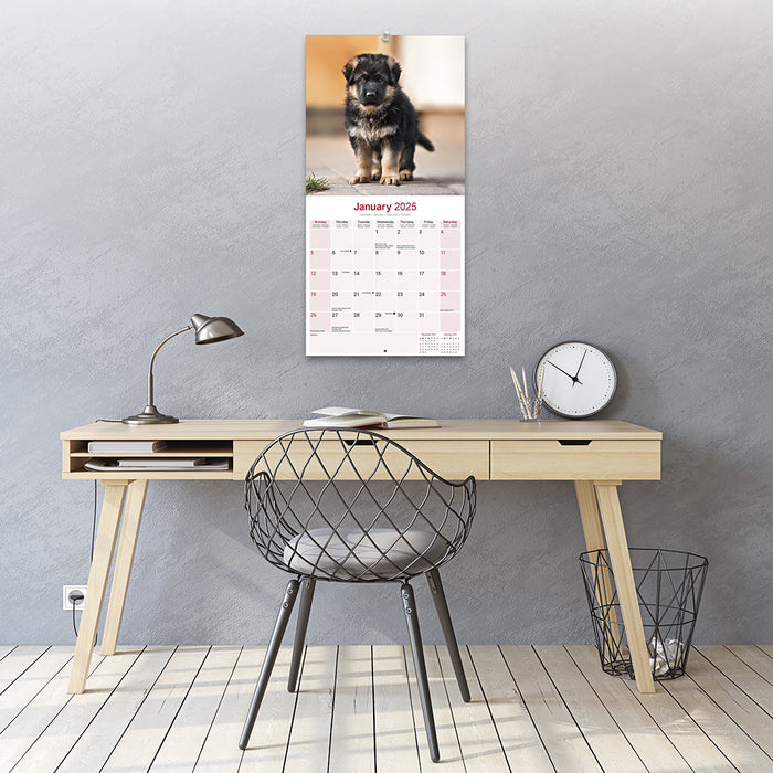 2025 German Shepherd Wall Calendar