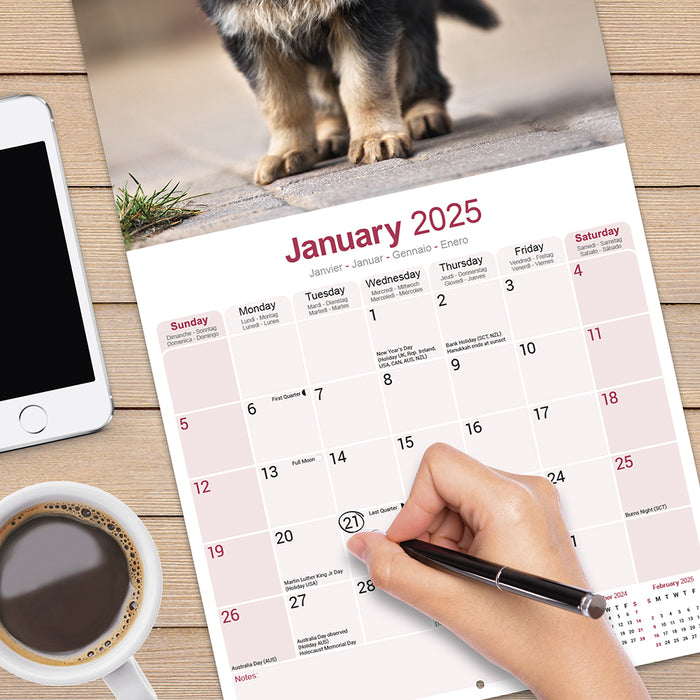 2025 German Shepherd Wall Calendar