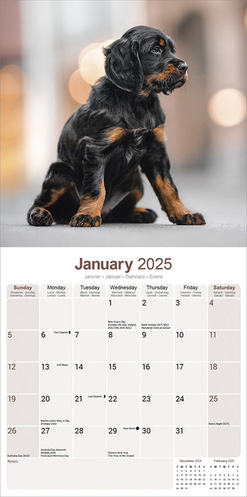 2025 Gordon Setter Wall Calendar (Online Exclusive)