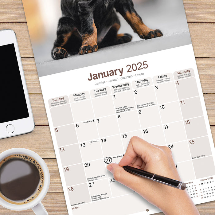 2025 Gordon Setter Wall Calendar (Online Exclusive)