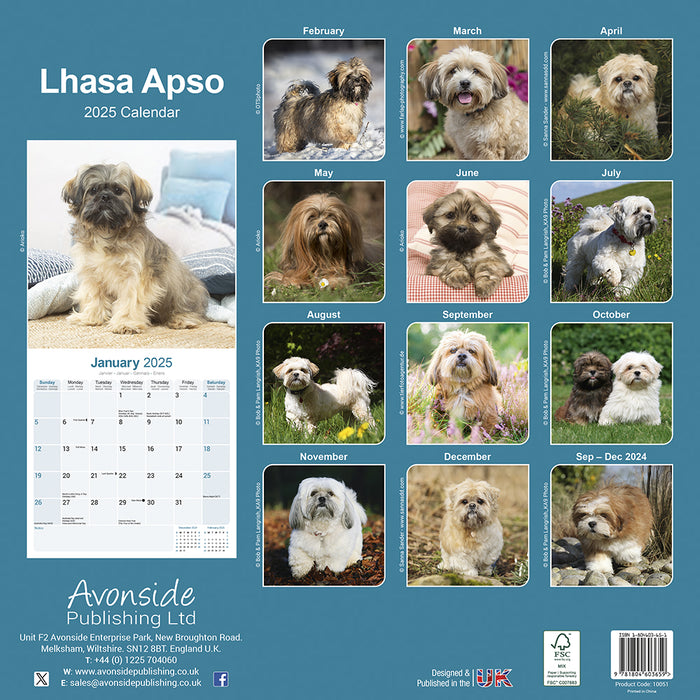 2025 Lhasa Apso Wall Calendar (Online Exclusive)