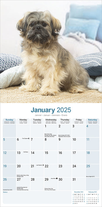 2025 Lhasa Apso Wall Calendar (Online Exclusive)