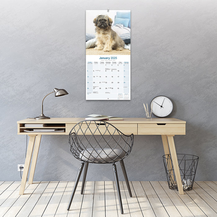 2025 Lhasa Apso Wall Calendar (Online Exclusive)