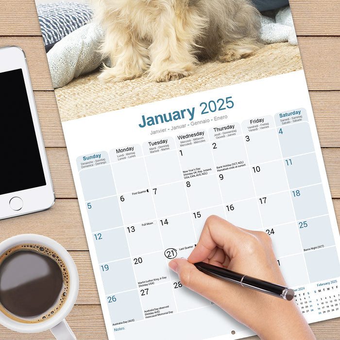 2025 Lhasa Apso Wall Calendar (Online Exclusive)