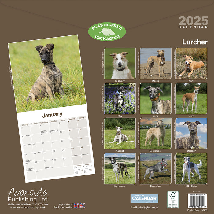 2025 Lurcher Wall Calendar (Online Exclusive)